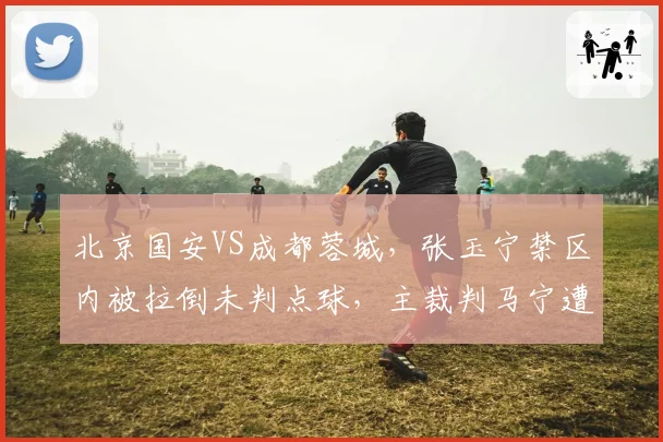 北京国安VS成都蓉城，张玉宁禁区内被拉倒未判点球，主裁判马宁遭全场嘘声